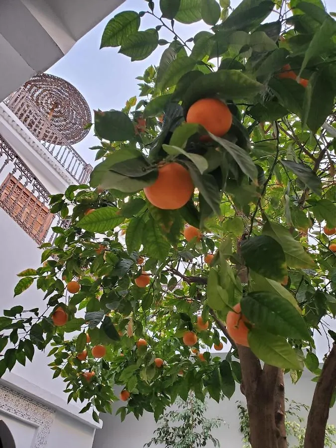 Riad Yamina52 Marrakesh